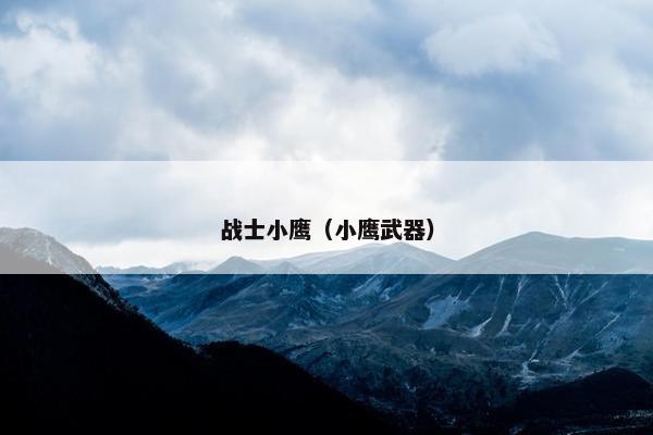 战士小鹰（小鹰武器）