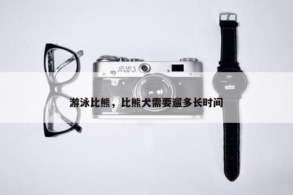 游泳比熊，比熊犬需要遛多长时间