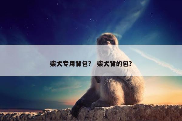 柴犬专用背包？ 柴犬背的包？