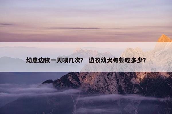 幼崽边牧一天喂几次？ 边牧幼犬每顿吃多少？