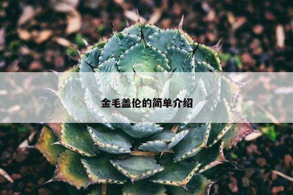 金毛盖伦的简单介绍