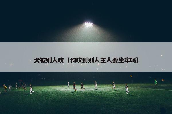 犬被别人咬（狗咬到别人主人要坐牢吗）
