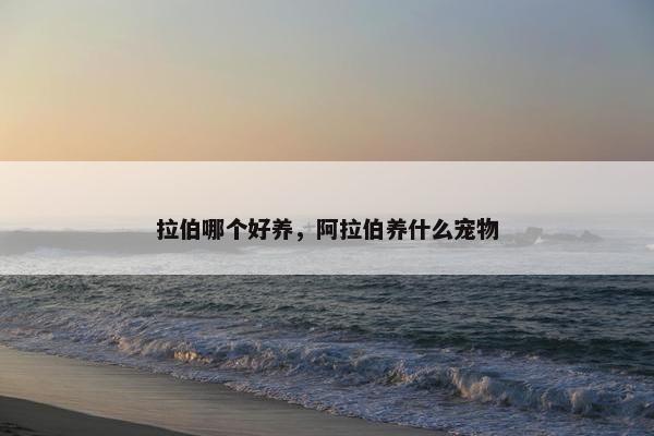 拉伯哪个好养，阿拉伯养什么宠物