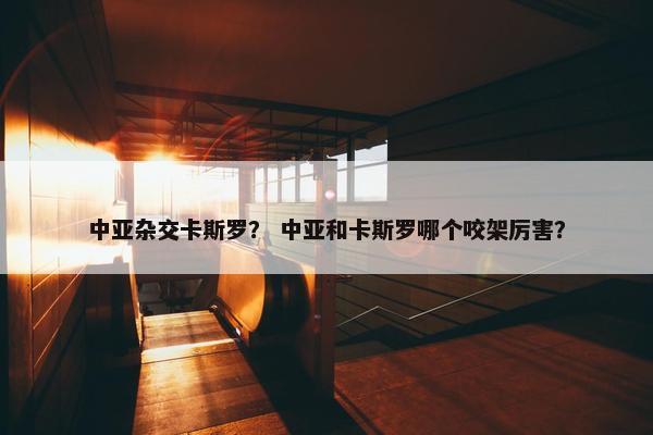 中亚杂交卡斯罗？ 中亚和卡斯罗哪个咬架厉害？