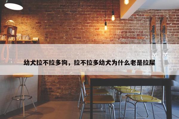 幼犬拉不拉多狗，拉不拉多幼犬为什么老是拉屎