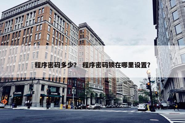 程序密码多少？ 程序密码锁在哪里设置？