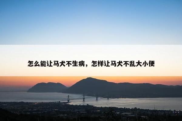 怎么能让马犬不生病，怎样让马犬不乱大小便