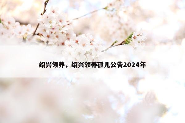 绍兴领养，绍兴领养孤儿公告2024年