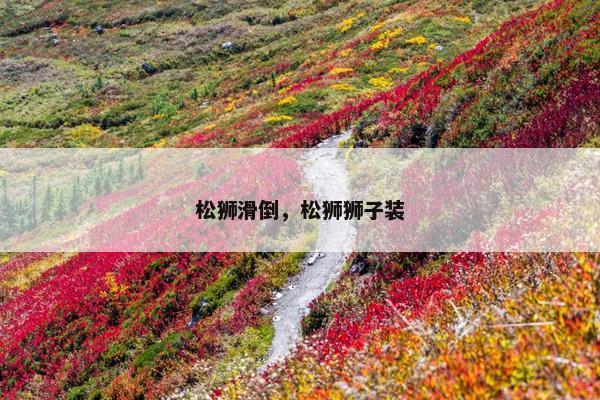 松狮滑倒，松狮狮子装