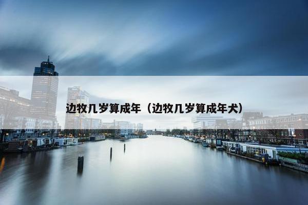 边牧几岁算成年（边牧几岁算成年犬）