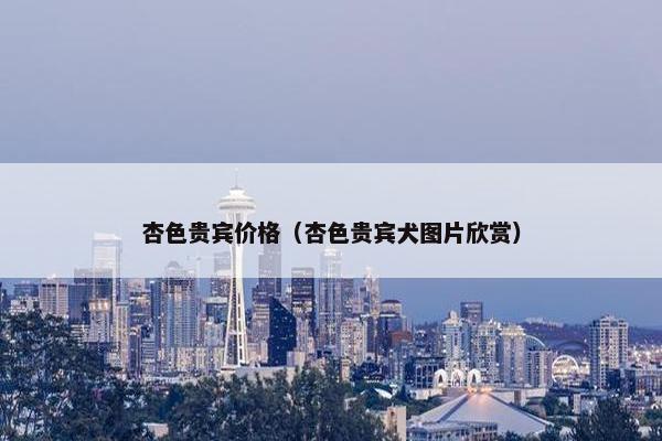 杏色贵宾价格（杏色贵宾犬图片欣赏）