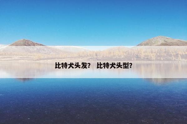 比特犬头发？ 比特犬头型？