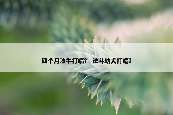 四个月法牛打嗝？ 法斗幼犬打嗝？