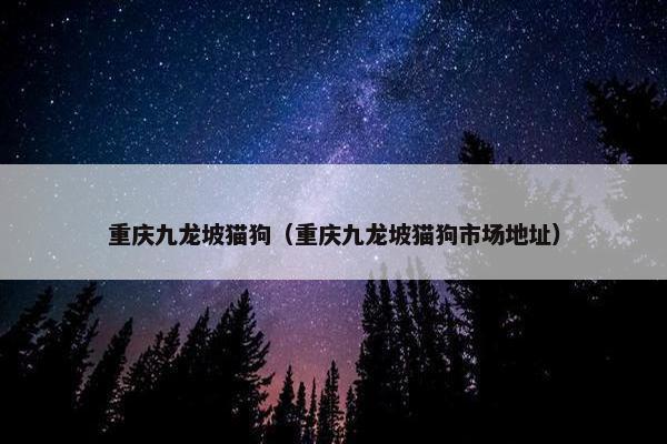 重庆九龙坡猫狗（重庆九龙坡猫狗市场地址）
