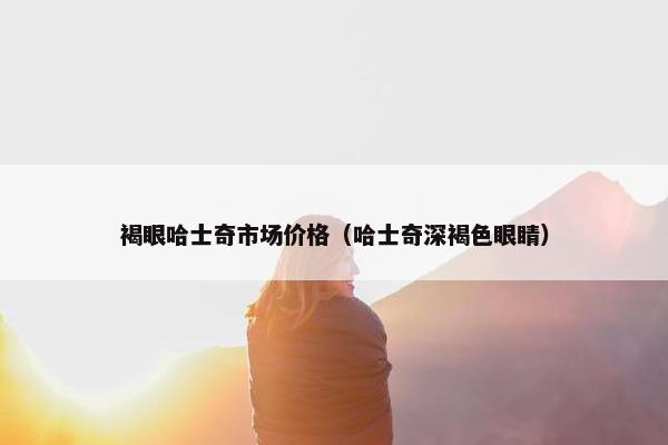 褐眼哈士奇市场价格（哈士奇深褐色眼睛）