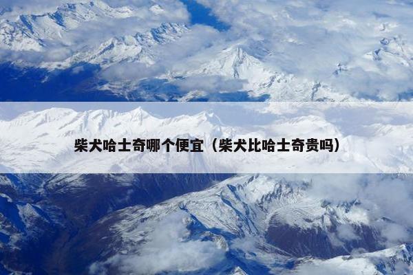 价格
