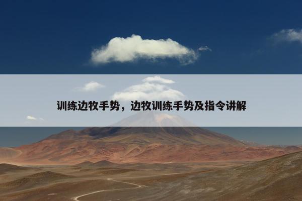 训练边牧手势，边牧训练手势及指令讲解