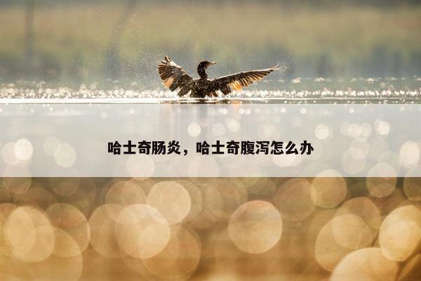 哈士奇肠炎，哈士奇腹泻怎么办