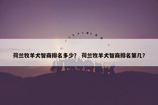 荷兰牧羊犬智商排名多少？ 荷兰牧羊犬智商排名第几？