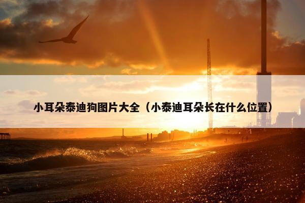 2025年7月