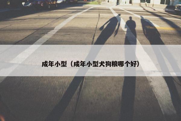 成年小型（成年小型犬狗粮哪个好）