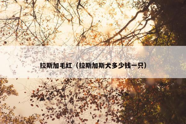 拉斯加毛红（拉斯加斯犬多少钱一只）