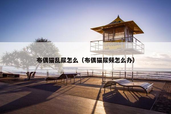 布偶猫乱尿怎么（布偶猫尿频怎么办）