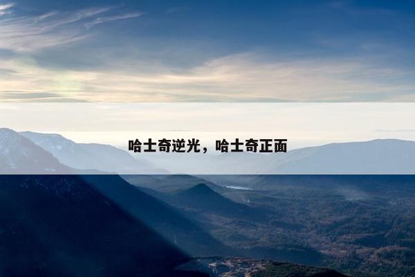 哈士奇