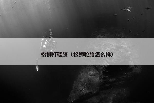 松狮打硅胶（松狮轮胎怎么样）