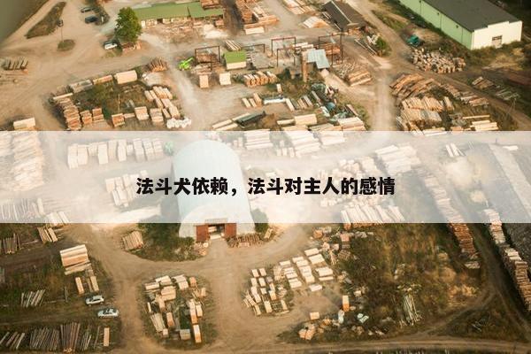 法斗犬依赖，法斗对主人的感情