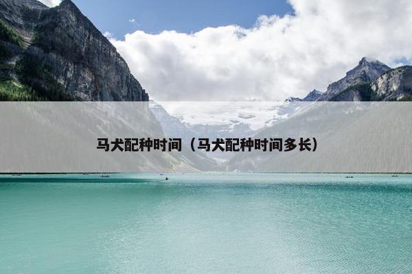 配种