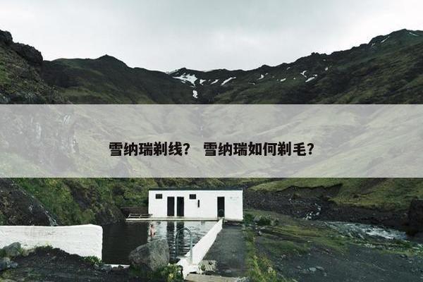 雪纳瑞剃线？ 雪纳瑞如何剃毛？