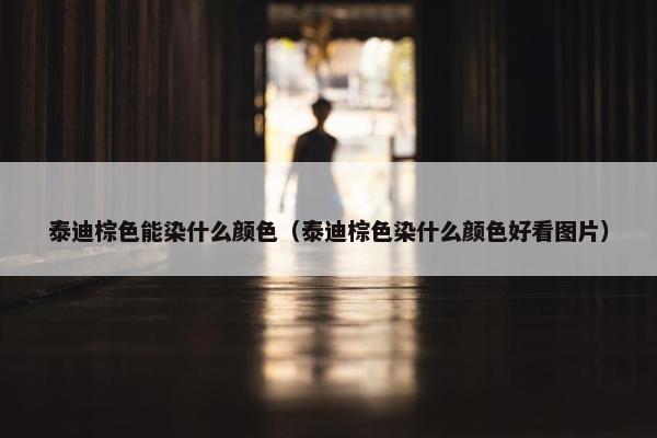 泰迪棕色能染什么颜色（泰迪棕色染什么颜色好看图片）