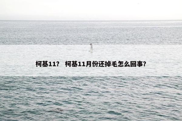柯基11？ 柯基11月份还掉毛怎么回事？