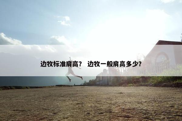 边牧标准肩高？ 边牧一般肩高多少？