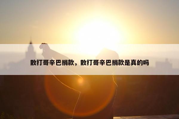 散打哥辛巴捐款，散打哥辛巴捐款是真的吗