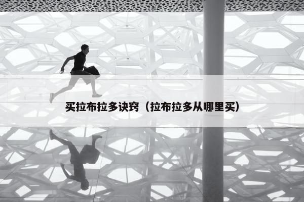 买拉布拉多诀窍（拉布拉多从哪里买）