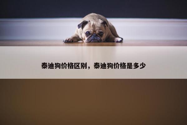 泰迪狗价格区别，泰迪狗价格是多少