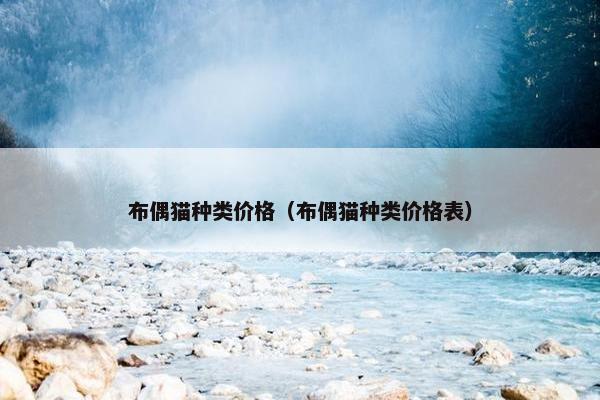布偶猫种类价格（布偶猫种类价格表）