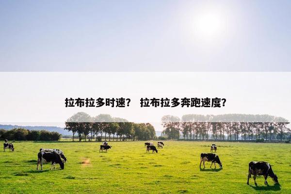 拉布拉多时速？ 拉布拉多奔跑速度？
