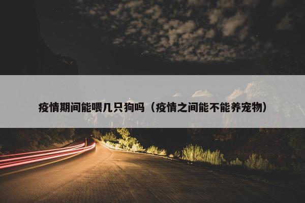 疫情期间能喂几只狗吗（疫情之间能不能养宠物）