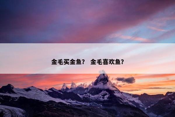 金毛买金鱼？ 金毛喜欢鱼？