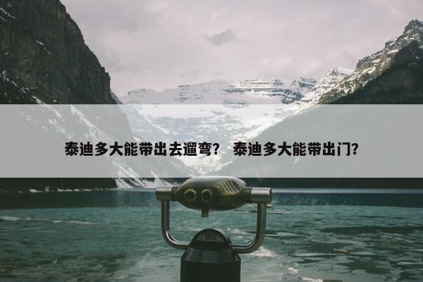 泰迪多大能带出去遛弯？ 泰迪多大能带出门？