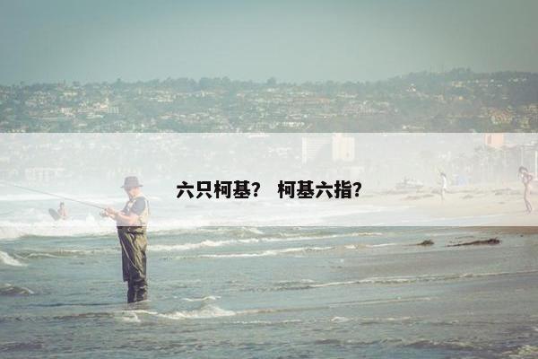 六只柯基？ 柯基六指？