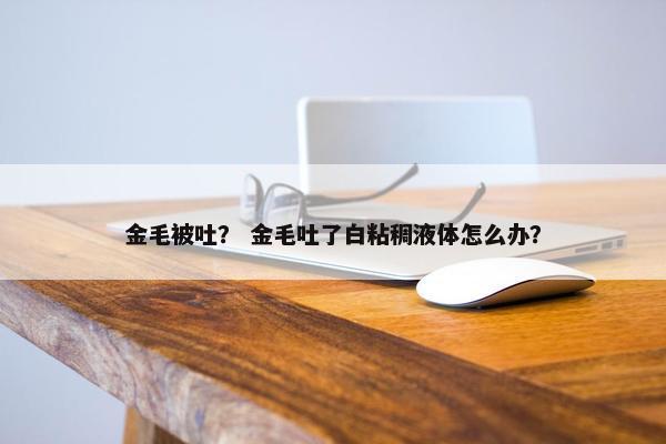 金毛被吐？ 金毛吐了白粘稠液体怎么办？