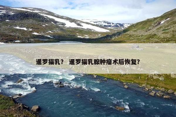 暹罗猫乳？ 暹罗猫乳腺肿瘤术后恢复？