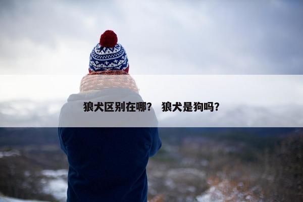狼犬区别在哪？ 狼犬是狗吗？