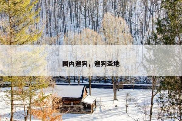 国内遛狗，遛狗圣地