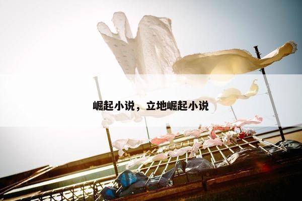 崛起小说，立地崛起小说