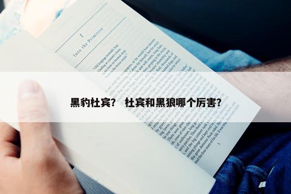 黑豹杜宾？ 杜宾和黑狼哪个厉害？